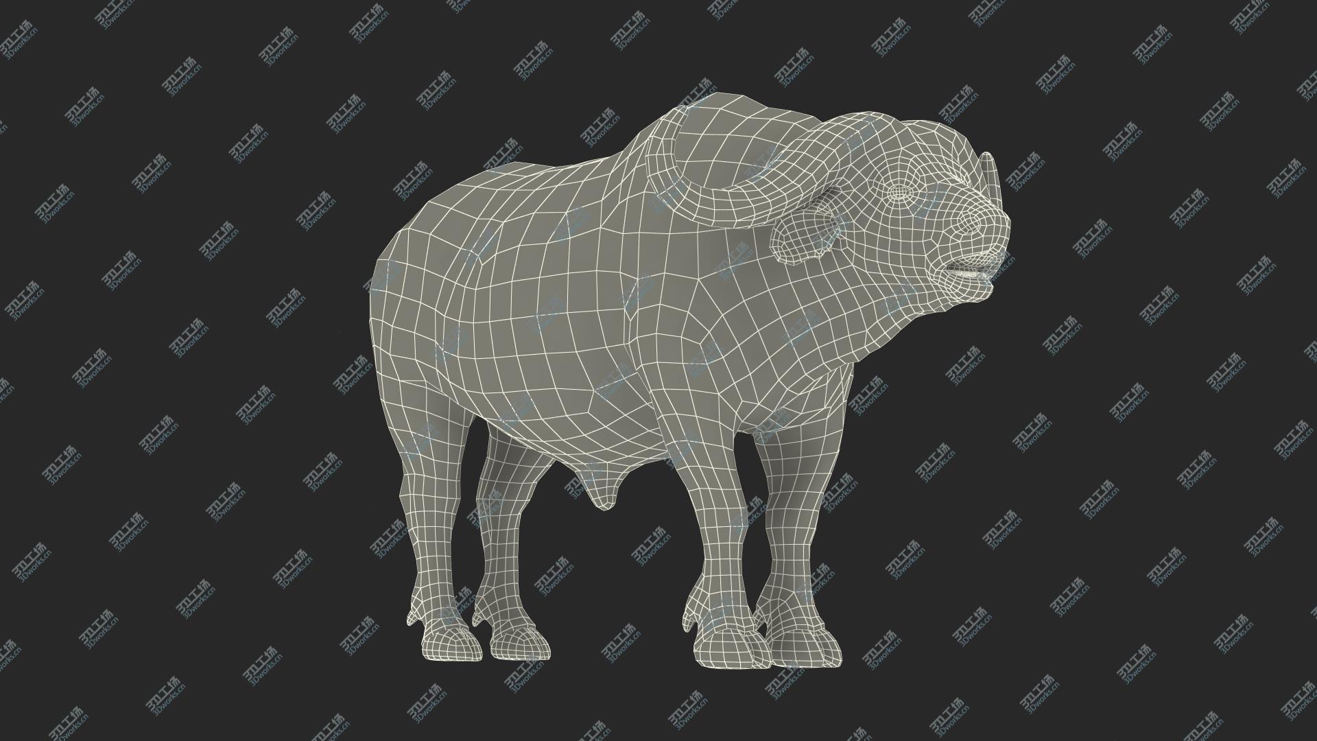 images/goods_img/20210319/3D Cape Buffalo African Buffalo Rigged/4.jpg